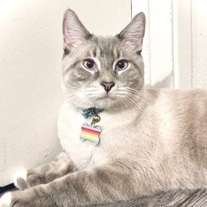 Meet your Posher, Noelle